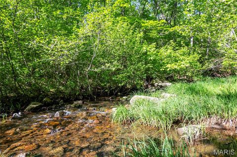 Tiny photo for 00 Highway AA, Annapolis, MO 63620 (MLS # 26026620)