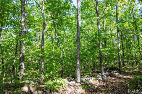Tiny photo for 00 Highway AA, Annapolis, MO 63620 (MLS # 26026620)