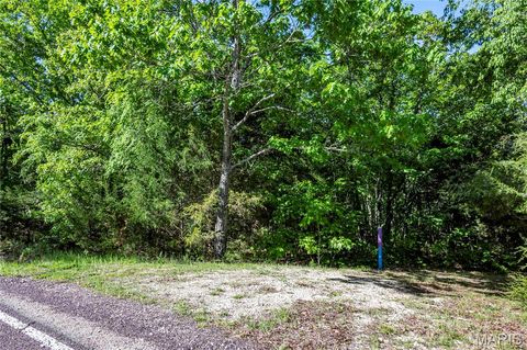 Tiny photo for 00 Highway AA, Annapolis, MO 63620 (MLS # 26026620)