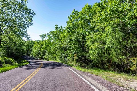 Tiny photo for 00 Highway AA, Annapolis, MO 63620 (MLS # 26026620)