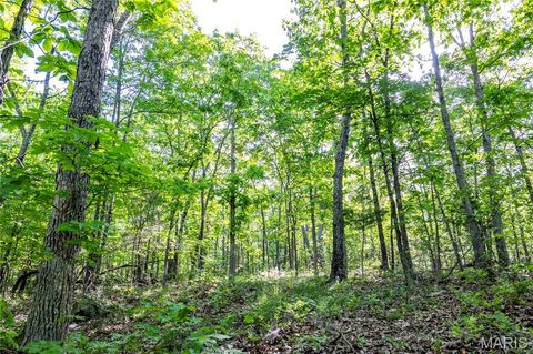 Tiny photo for 00 Highway AA, Annapolis, MO 63620 (MLS # 26026620)