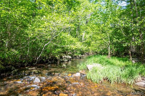 Tiny photo for 00 Highway AA, Annapolis, MO 63620 (MLS # 26026620)