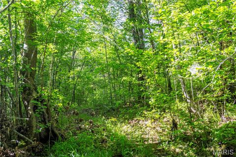 Tiny photo for 00 Highway AA, Annapolis, MO 63620 (MLS # 26026620)