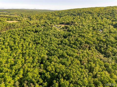 Tiny photo for 00 Highway AA, Annapolis, MO 63620 (MLS # 26026620)