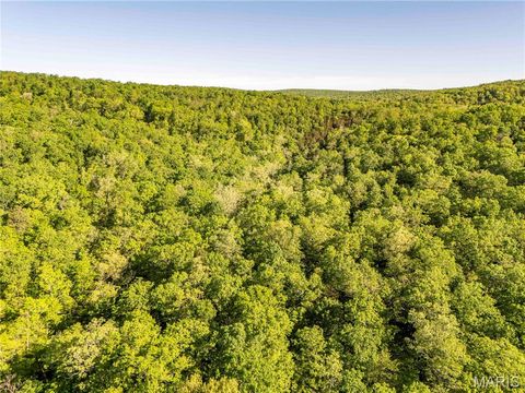 Tiny photo for 00 Highway AA, Annapolis, MO 63620 (MLS # 26026620)