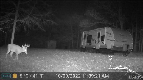 Tiny photo for 00 Highway AA, Annapolis, MO 63620 (MLS # 26026620)