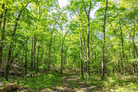 Tiny photo for 00 Highway AA, Annapolis, MO 63620 (MLS # 26026620)