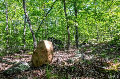 Tiny photo for 00 Highway AA, Annapolis, MO 63620 (MLS # 26026620)