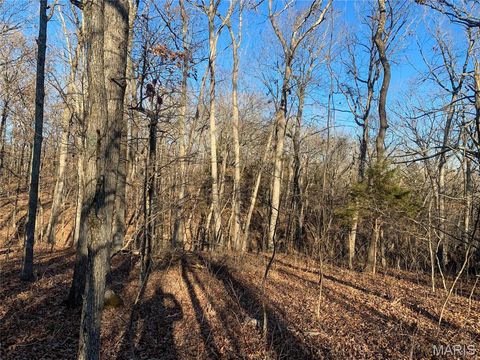 Tiny photo for 31 Polston Ln, Marthasville, MO 63357 (MLS # 25003940)