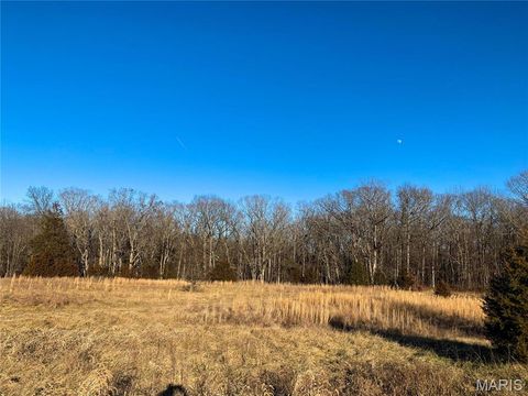 Tiny photo for 31 Polston Ln, Marthasville, MO 63357 (MLS # 25003940)