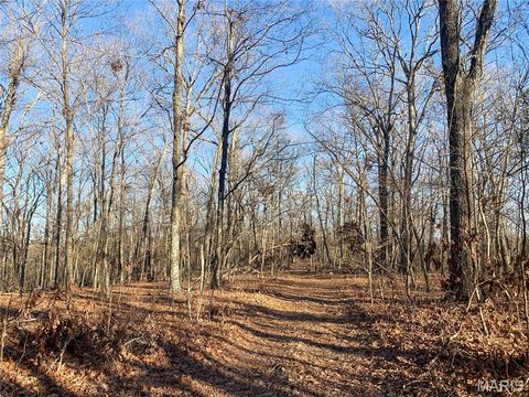 Tiny photo for 31 Polston Ln, Marthasville, MO 63357 (MLS # 25003940)