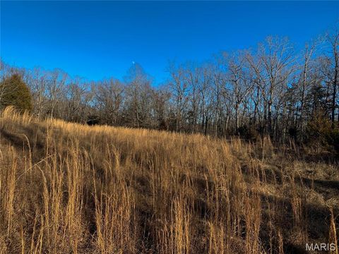 Tiny photo for 31 Polston Ln, Marthasville, MO 63357 (MLS # 25003940)