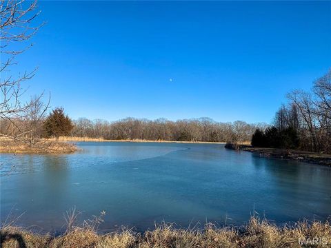 Tiny photo for 31 Polston Ln, Marthasville, MO 63357 (MLS # 25003940)