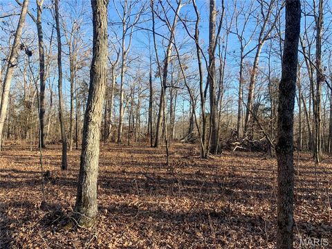 Tiny photo for 31 Polston Ln, Marthasville, MO 63357 (MLS # 25003940)