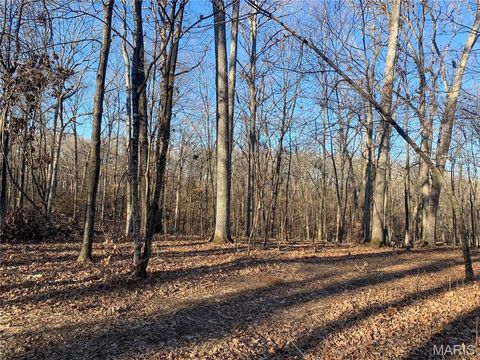 Tiny photo for 31 Polston Ln, Marthasville, MO 63357 (MLS # 25003940)