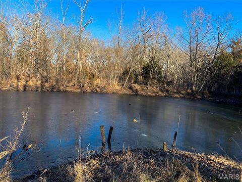 Tiny photo for 31 Polston Ln, Marthasville, MO 63357 (MLS # 25003940)