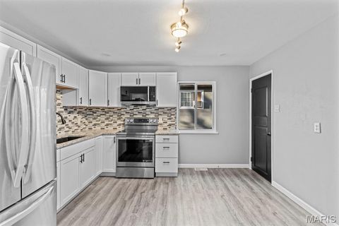 Tiny photo for 10452 Count Drive, St Louis, MO 63136 (MLS # 26012382)