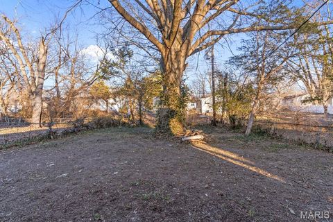 Tiny photo for 10452 Count Drive, St Louis, MO 63136 (MLS # 26012382)