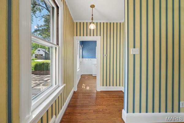 Maple Park Resub - Residential