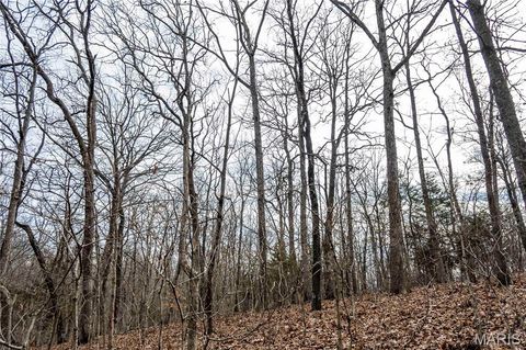 Tiny photo for 113 E Koester Springs Road, French Village, MO 63036 (MLS # 26011844)
