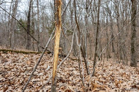 Tiny photo for 113 E Koester Springs Road, French Village, MO 63036 (MLS # 26011844)