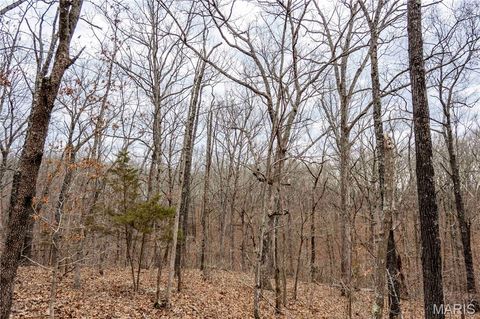 Tiny photo for 113 E Koester Springs Road, French Village, MO 63036 (MLS # 26011844)