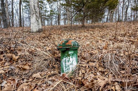 Tiny photo for 113 E Koester Springs Road, French Village, MO 63036 (MLS # 26011844)