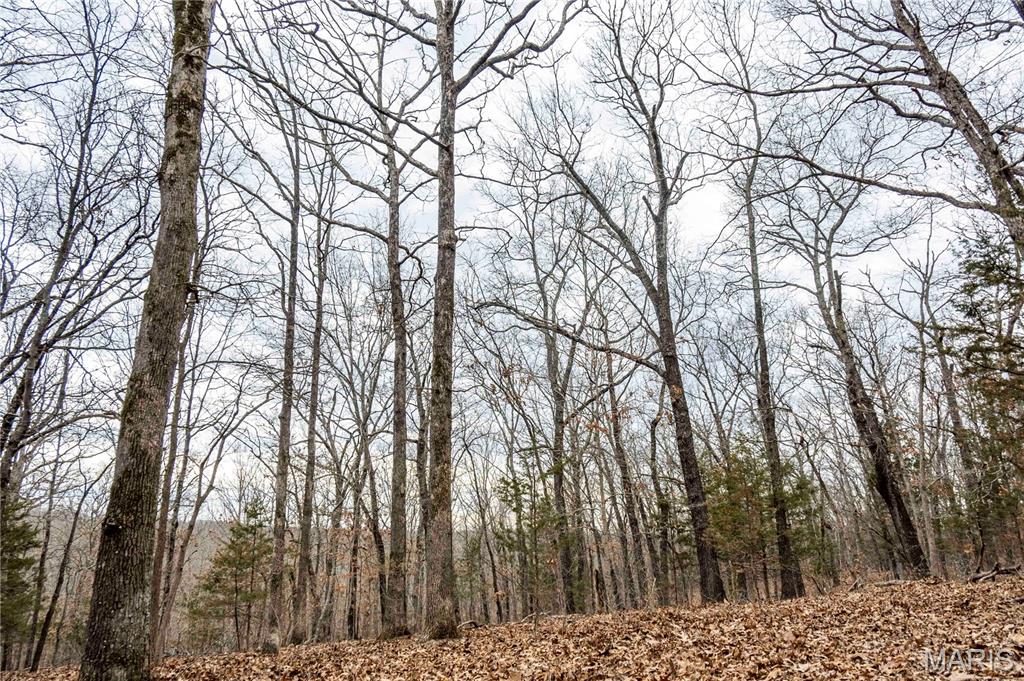 113 E Koester Springs Road