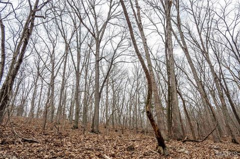Tiny photo for 113 E Koester Springs Road, French Village, MO 63036 (MLS # 26011844)