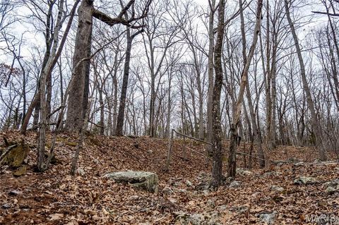 Tiny photo for 113 E Koester Springs Road, French Village, MO 63036 (MLS # 26011844)
