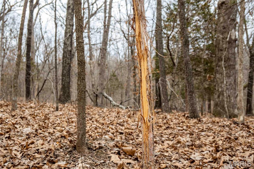 113 E Koester Springs Road