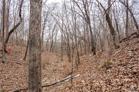 Tiny photo for 113 E Koester Springs Road, French Village, MO 63036 (MLS # 26011844)
