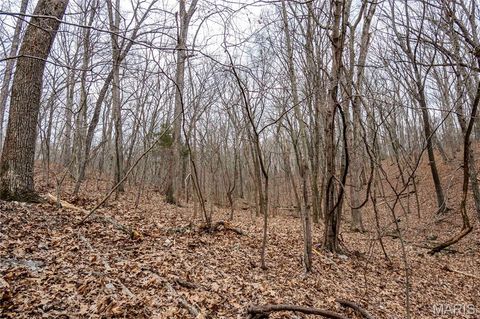 Tiny photo for 113 E Koester Springs Road, French Village, MO 63036 (MLS # 26011844)