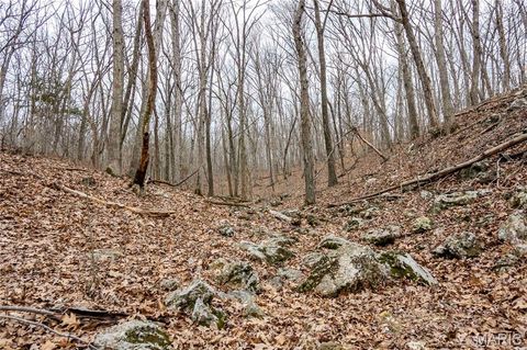 Tiny photo for 113 E Koester Springs Road, French Village, MO 63036 (MLS # 26011844)