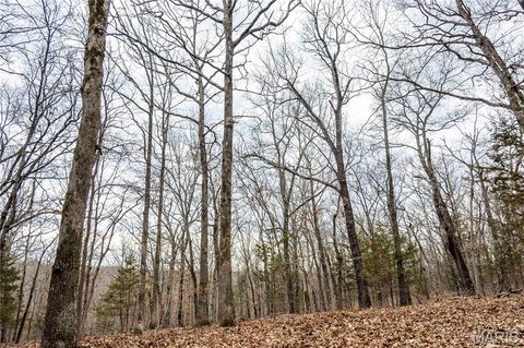 Tiny photo for 113 E Koester Springs Road, French Village, MO 63036 (MLS # 26011844)