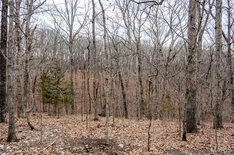 Tiny photo for 113 E Koester Springs Road, French Village, MO 63036 (MLS # 26011844)