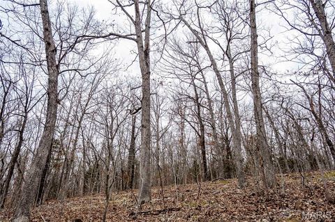 Tiny photo for 113 E Koester Springs Road, French Village, MO 63036 (MLS # 26011844)