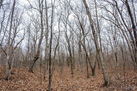 Tiny photo for 113 E Koester Springs Road, French Village, MO 63036 (MLS # 26011844)