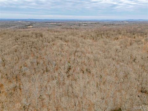 Tiny photo for 113 E Koester Springs Road, French Village, MO 63036 (MLS # 26011844)