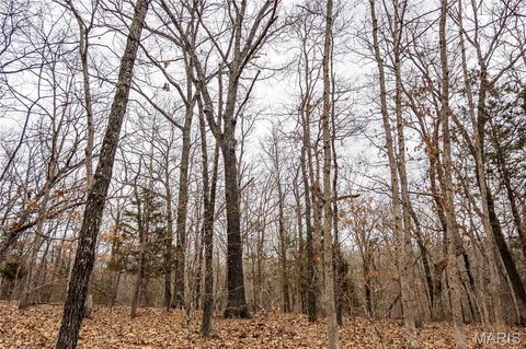 Tiny photo for 113 E Koester Springs Road, French Village, MO 63036 (MLS # 26011844)