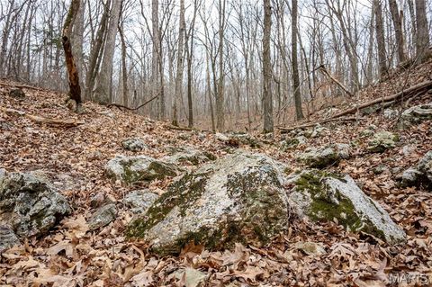 Tiny photo for 113 E Koester Springs Road, French Village, MO 63036 (MLS # 26011844)