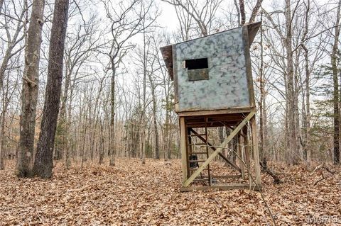 Tiny photo for 113 E Koester Springs Road, French Village, MO 63036 (MLS # 26011844)
