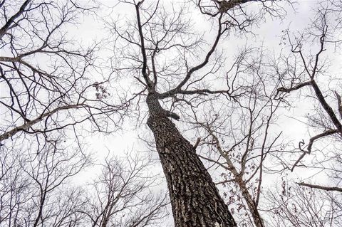 Tiny photo for 113 E Koester Springs Road, French Village, MO 63036 (MLS # 26011844)