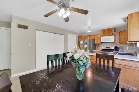 Tiny photo for 920 Parc Central Drive, Festus, MO 63028 (MLS # 26010564)