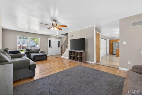 Tiny photo for 920 Parc Central Drive, Festus, MO 63028 (MLS # 26010564)