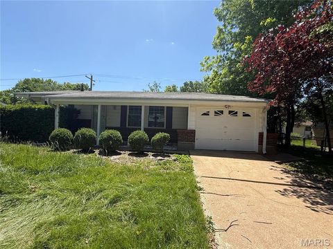 Photo of 1328 Coppergate Lane, St Louis, MO 63138 (MLS # 26029320)