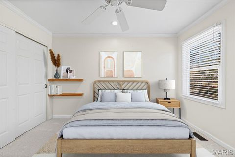 Tiny photo for 717 Turtle Cove, Ballwin, MO 63011 (MLS # 25082269)