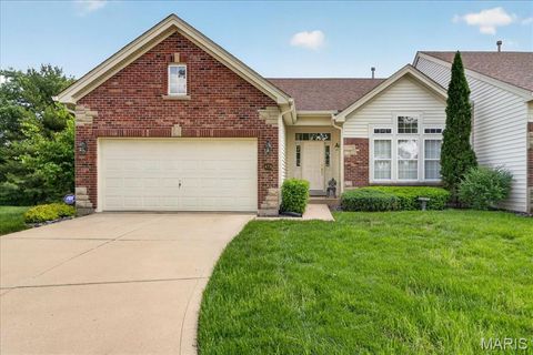 Photo of 14736 Thornbird Manor Parkway, Chesterfield, MO 63017 (MLS # 26025967)