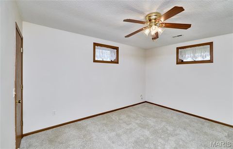 Tiny photo for 197 White Oak Trail, Winfield, MO 63389 (MLS # 26016717)
