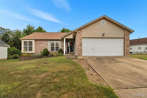 1316 Kodiak Court Festus MO 63028